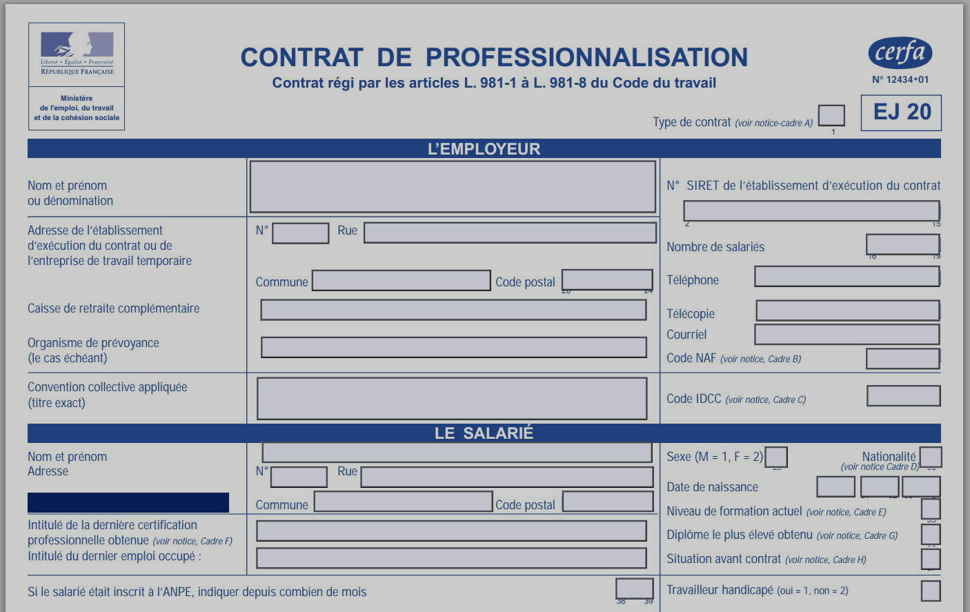 contrat de professionnalisation