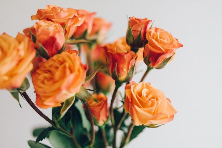 Bouquet de rose personnalisable pour la Saint-Valentin