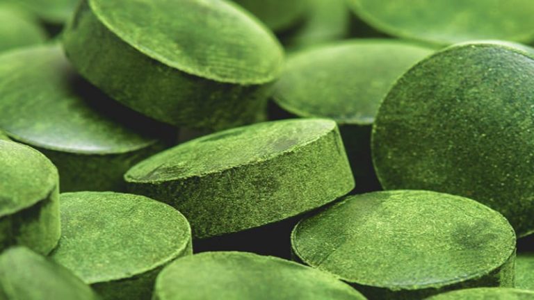 Ce qu’il faut savoir sur la chlorella