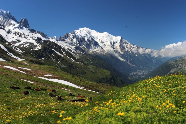 Tout savoir sur le permis d’ascension du Mont-Blanc