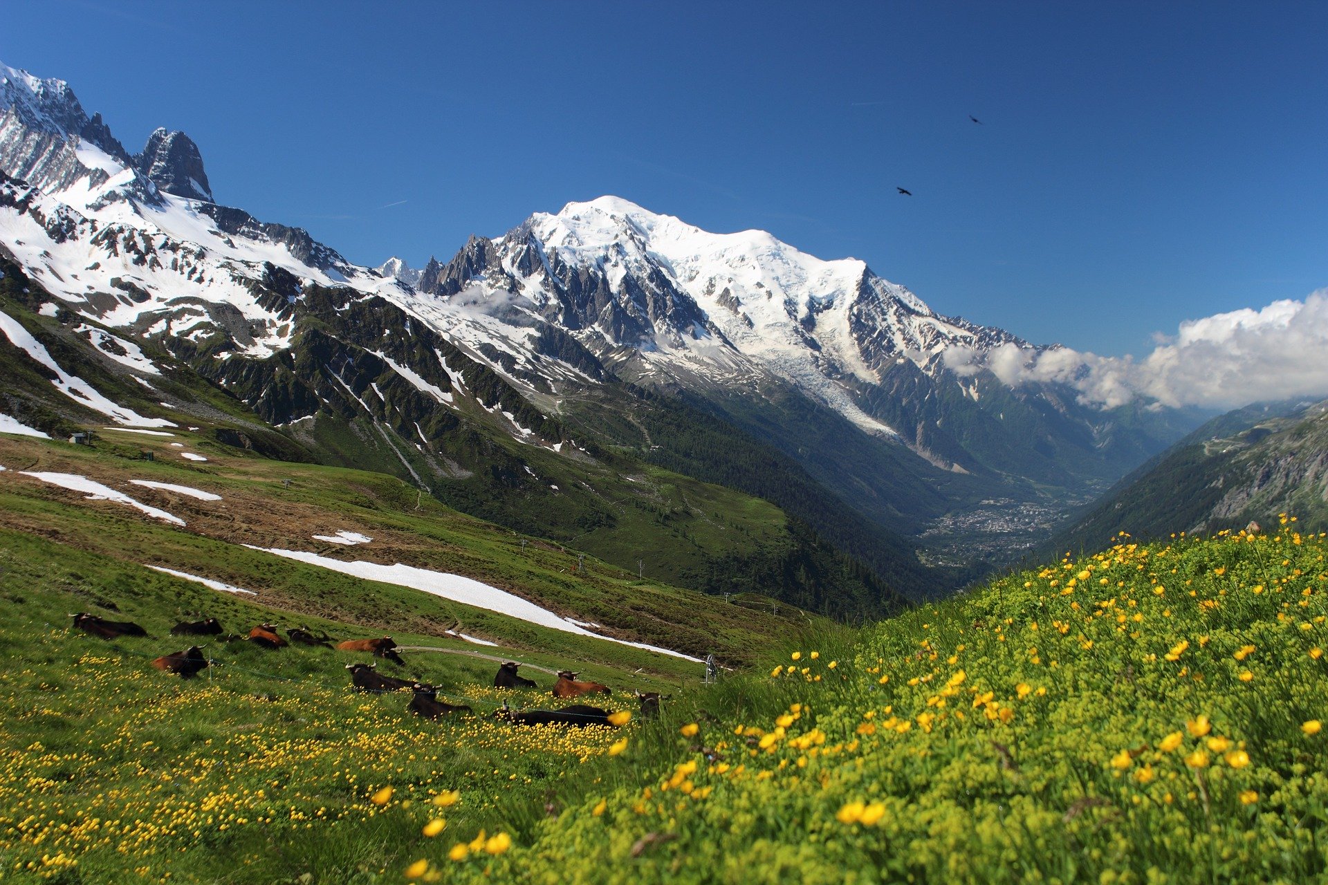 Mont-Blanc