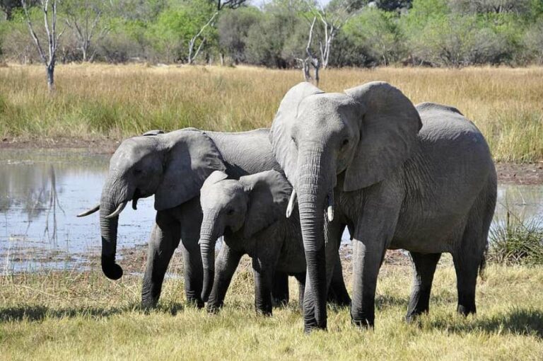 En route pour la Tanzanie et ses splendides parcs nationaux