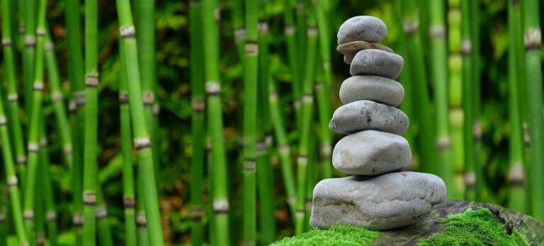 Un esprit sain dans un habitat sain : installez un espace zen dans votre jardin